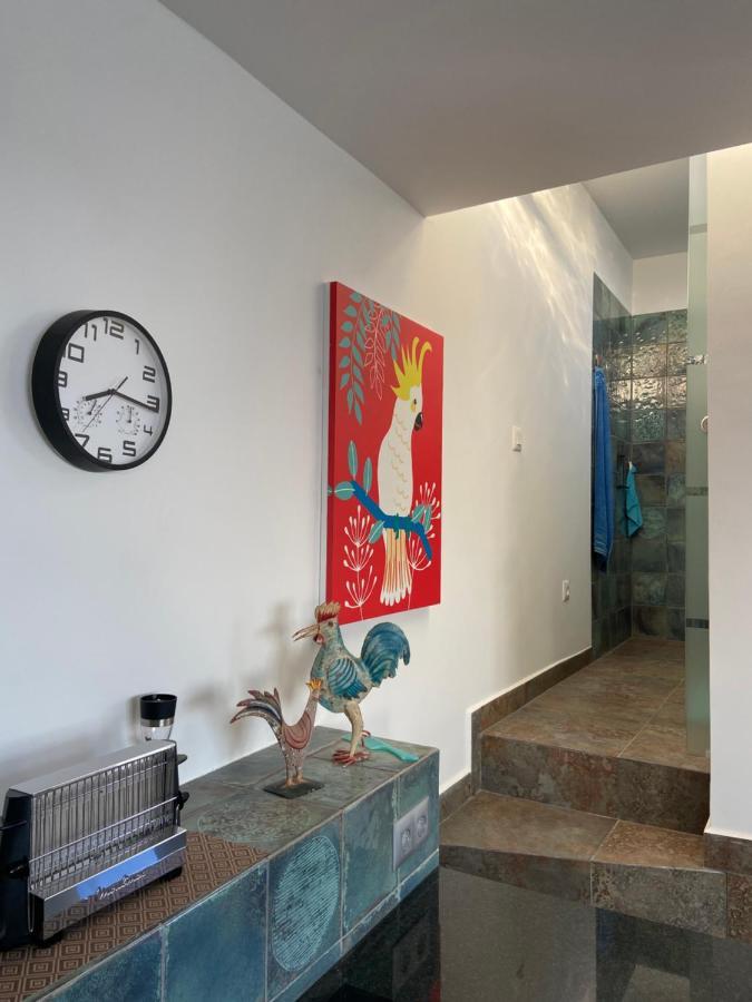 Oasis La Paz - Acaymo Loft - Adults Only - Appartamento Puerto de la Cruz (Tenerife)